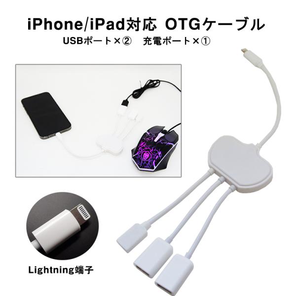 iPhone/iPad対応 OTGケーブル Lightning 給電 USB2ポート ハブケーブル ...