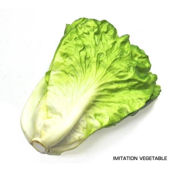 野菜ディスプレー　#845A 白菜