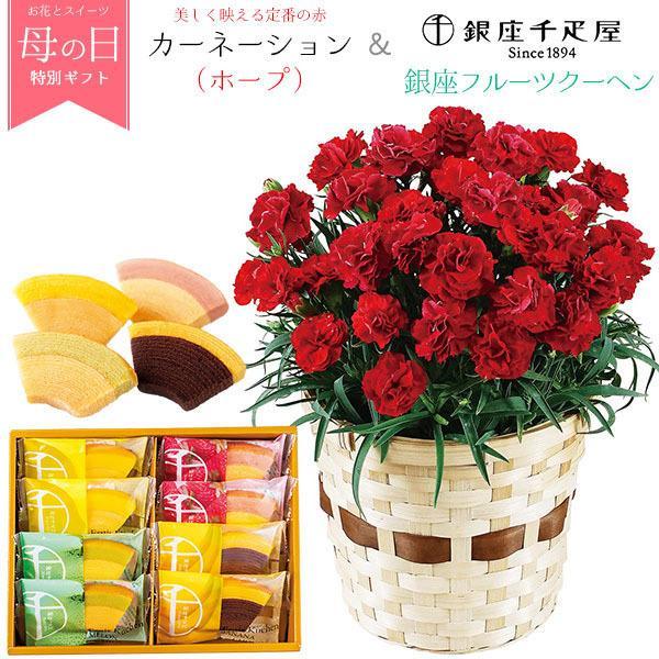 カーネーション ホープ ＆ 銀座千疋屋 銀座フルーツクーヘン セット 母の日 ギフト 花 食べ物 お...