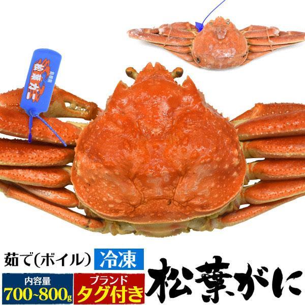 茹で 冷凍 松葉ガニ 約700〜800g 人気 お取り寄せ カニ グルメ ランキング 贈り物 ギフト...