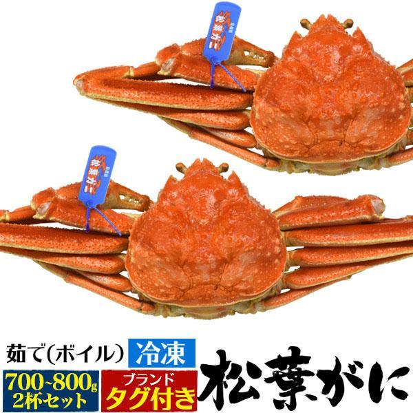 茹で 冷凍 松葉ガニ 約700〜800g 2杯セット 人気 国産 カニ 贈り物 お祝い 松葉がに カ...