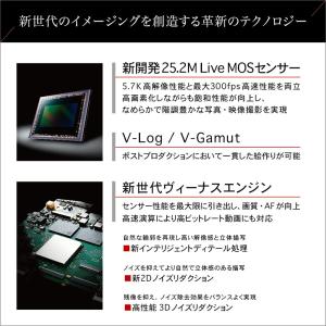 パナソニック(Panasonic) ミラーレス...の詳細画像2