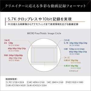 パナソニック(Panasonic) ミラーレス...の詳細画像3