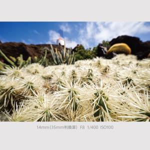 パナソニック Panasonic LUMIX ...の詳細画像5