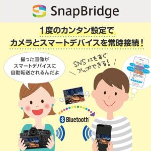 Nikon ニコン ミラーレス一眼 Z30 ダ...の詳細画像1