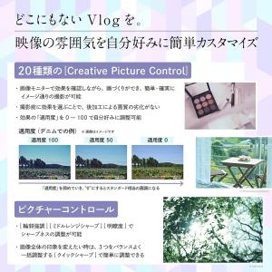 Nikon ニコン ミラーレス一眼 Z30 ダ...の詳細画像3
