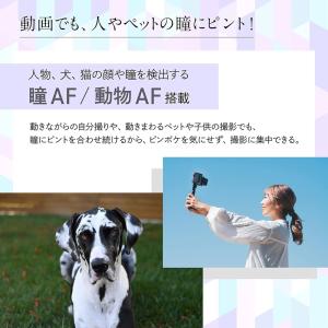 Nikon ニコン ミラーレス一眼 Z30 ダ...の詳細画像5