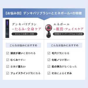 エレクトロン公式 リフトギアセット デンキバリ...の詳細画像3