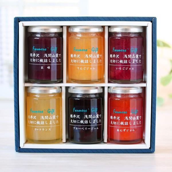 信州産軽井沢ジャム6個セット いちご りんご あんず ブルーベリー 巨峰 ラ・フランス ギフト 母の...