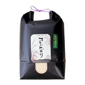 コシヒカリ 山形県白鷹町 大津大介産 特別栽培米 令和8年産 尾形米穀店セレクション 白米5kg×2