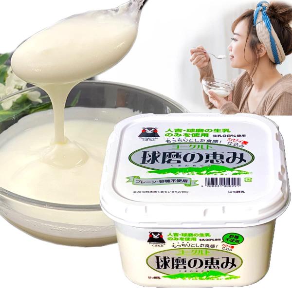 球磨の恵み ヨーグルト1キロ 無糖タイプ【ヨーグルト無糖1キロ】