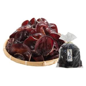 【春日井ファーム】国産生きくらげ (生きくらげ（500g×1袋）)