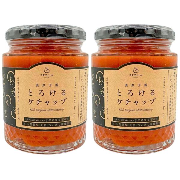 ヨダファーム 濃厚芳醇とろけるトマトケチャップ 200g×2 調味料 無添加 手作り 砂糖不使用 ギ...