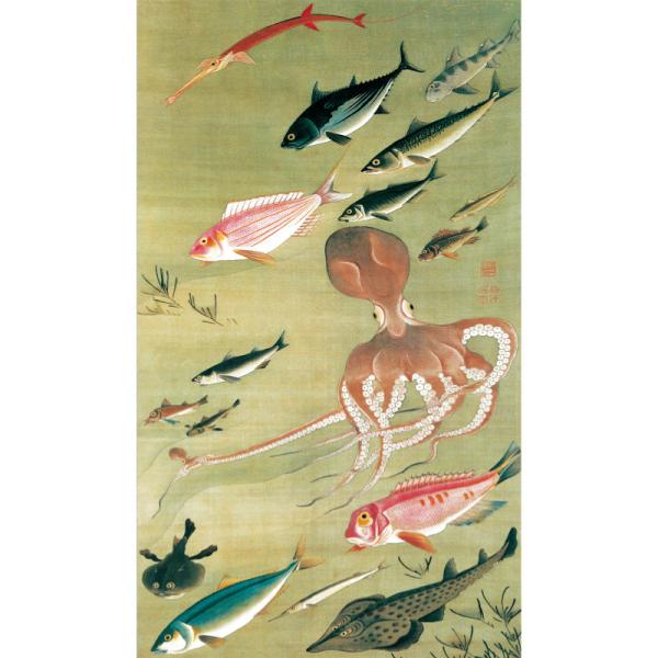 伊藤若冲 動植綵絵 群魚図（蛸） 高級仕様 掛軸 美術品 作品 複製画 - アートの友社