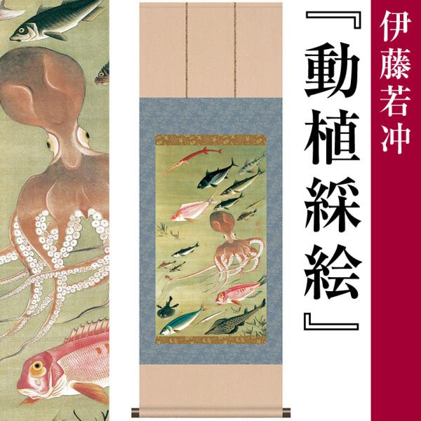 掛け軸 伊藤若冲 作品 動植綵絵 群魚図（蛸） 尺三サイズ 名画複製画 - アートの友社 掛軸