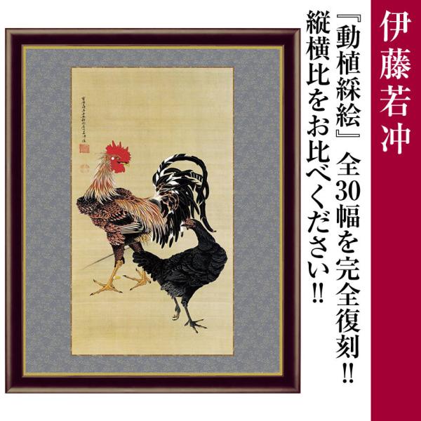 額付き 伊藤若冲 作品 動植綵絵 大鶏雌雄図 横42cm額 名画複製画 - アートの友社