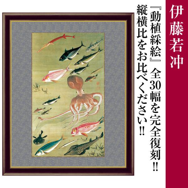 額付き 伊藤若冲 作品 動植綵絵 群魚図（蛸） 横42cm額 名画複製画 - アートの友社