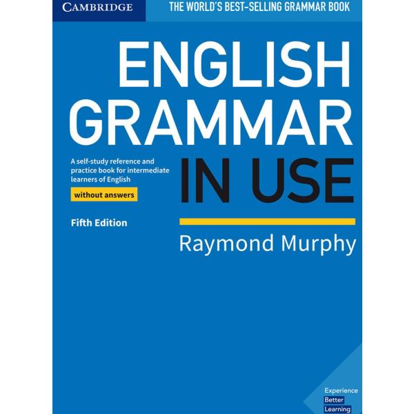 English Grammar in Use 5th edition Book without an...