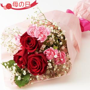 母の日 遅れてごめんね 花 バラとスプレーカーネーションの花束 メッセージカード付 ギフト プレゼント 贈り物｜elehome