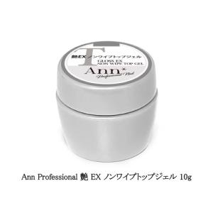 Ann Professional 艶 EX ノンワイプトップジェル 4g グロス アン