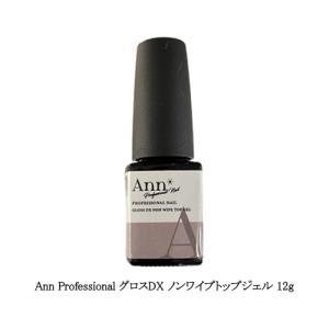 Ann Professional 艶 EX ノンワイプトップジェル 10g アン