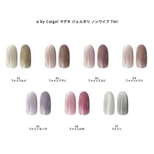 パラジェル カラージェル S054 ブラン 4g : ネイルワールド - 通販