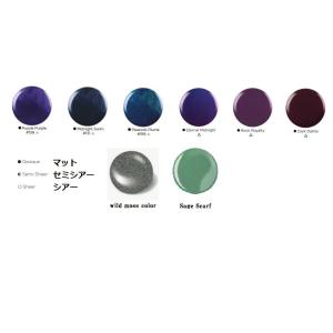 CND 【送料無料】 新品 シーエヌディー シェラック LEDランプ LED