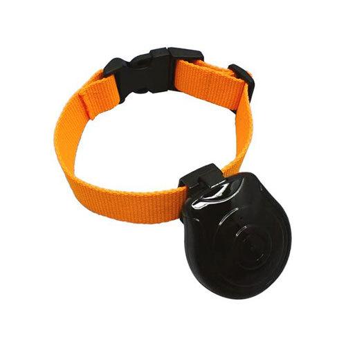 Broadwatch ペットの目線を記録・ペット用カメラHD PETCAM-TF-HD 見守り 留守...