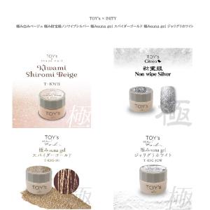 TOY's × INITY バブルスマグ 7ml 全6色 T-BU01~06 マグネットジェル