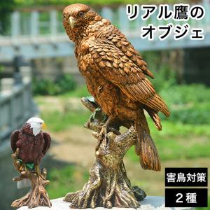 リアル鷹のオブジェ 2種類からご選択 害鳥対策 害獣対策 置物 リアルな飾り物 ベランダ インテリア 装飾品 彫刻 鳥 畑 玄関 庭 田んぼ 家庭菜園 新品 送料無料
