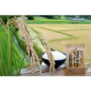 【ご注文から4-6日で発送予定】 コシヒカリ 福井県産 2025年産 新米 精米 白米 10kg ご...