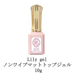 Ann Professional 艶 EX ノンワイプトップジェル 4g グロス アン