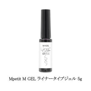 Ann Professional 艶 EX ノンワイプトップジェル 10g アン