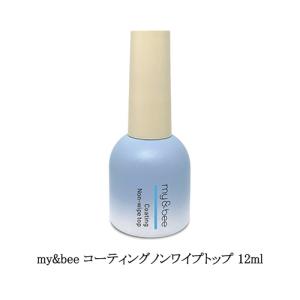 Ann Professional 艶 EX ノンワイプトップジェル 10g アン