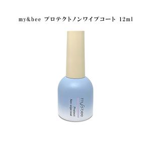 Ann Professional 艶 EX ノンワイプトップジェル 10g アン