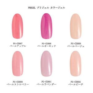 ココイスト KOKOIST ボンディングデュオ イン ボトル 100g プラチナ
