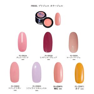 プリジェル カラージェル 10種類のカラーからご選択 ネオシリーズ 3g