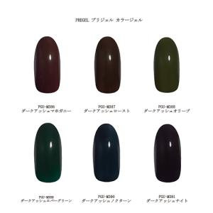 PREGEL プリジェル カラーEX ジェルネイル カラージェル 3g 906