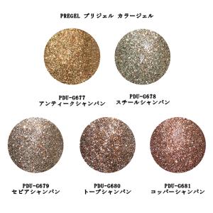 プリジェル カラージェル 10種類のカラーからご選択 ネオシリーズ 3g