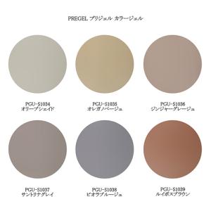 PREGEL プリジェル ミューズ カフェ シリーズ カラージェル 各3g PGU