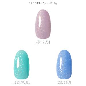 プリジェル カラージェル 3g ニュアンスシリーズ カラーEX PREGEL