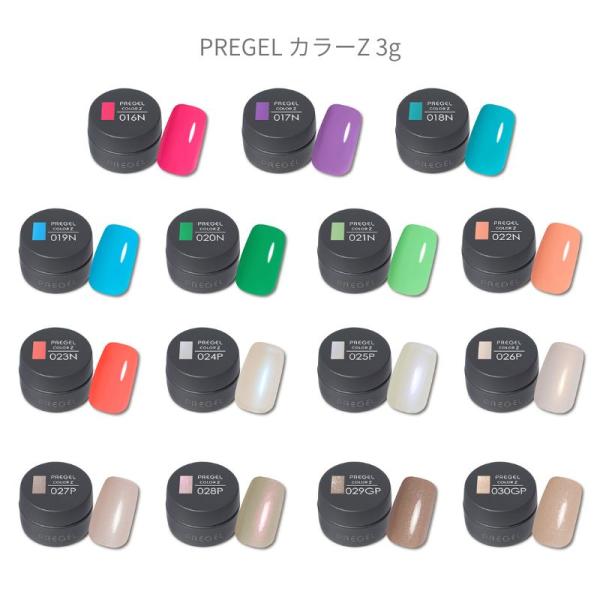 プリジェル PREGEL カラーZ 3g 15色からご選択 PZ-016NからPZ-023N PZ-...