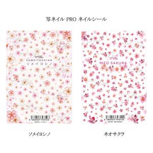 写ネイル PRO ネイルシール ソメイヨシノ ネオサクラ 2種類からご選択 桜デザイン 櫻 花柄 フラワー 春ネイル 転写 ステッカー ピンク 新品 送料無料