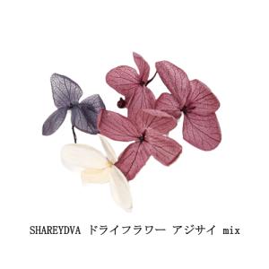 リーフジェル プレミアム LEAFGEL PREMIUM サンディングフリー+ 8g