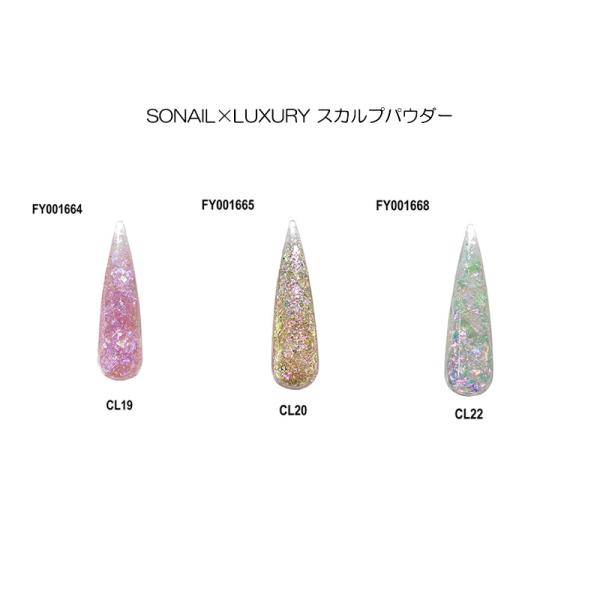 ソーネイル SONAIL×LUXURY スカルプパウダー 7g 3種類からご選択 FY001664 ...