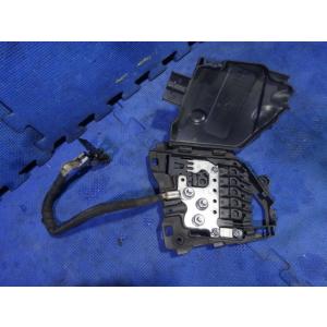 シトロエン C3 A55F01 等 バッテリー ターミナル ヒューズ  品番 9801148580　...