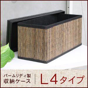パームリディのモジュール収納ケース L4 アジア工房 11371