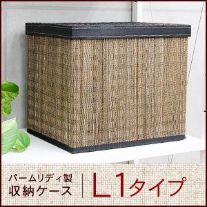 パームリディのモジュール収納ケース L1 アジア工房 11380