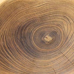 輪切り 切り株 木 丸太 約20×5cm チー...の詳細画像5