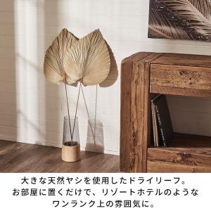 ドライフラワー ヤシ パームリーフ ヤシの葉 ...の詳細画像1